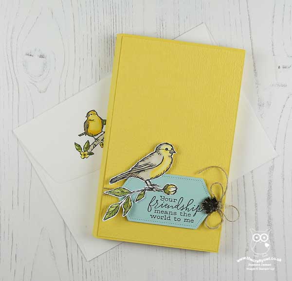 The Crafty Owl | Bird Ballad Shadow Box Birthday Card For PP448